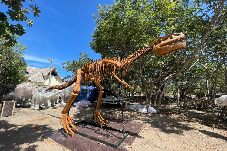 O parque temático tem previsão de inauguração para o primeiro semestre de 2024 e ficará localizado em Caucaia