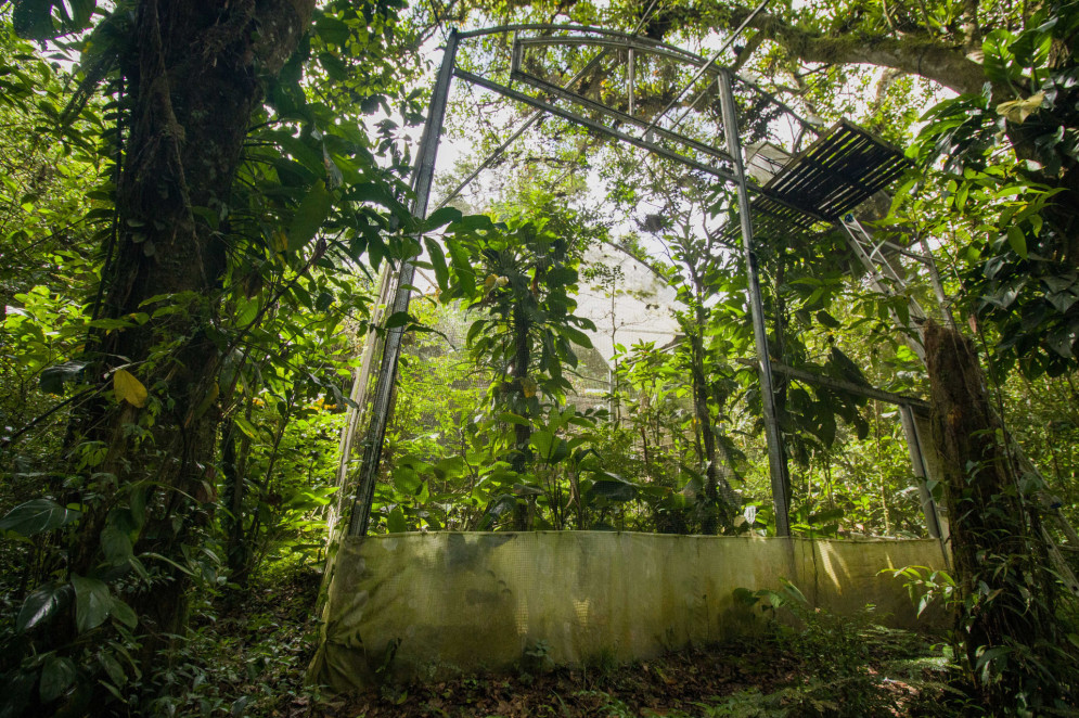 Para a Mapfre, restaura&ccedil;&atilde;o florestal &eacute; fundamental para que o Brasil fortale&ccedil;a seu papel na agenda clim&aacute;tica global. Na foto, Aquasis faz a introdu&ccedil;&atilde;o de periquitos cara-suja na Serra da Aratanha(Foto: Samuel Setubal)