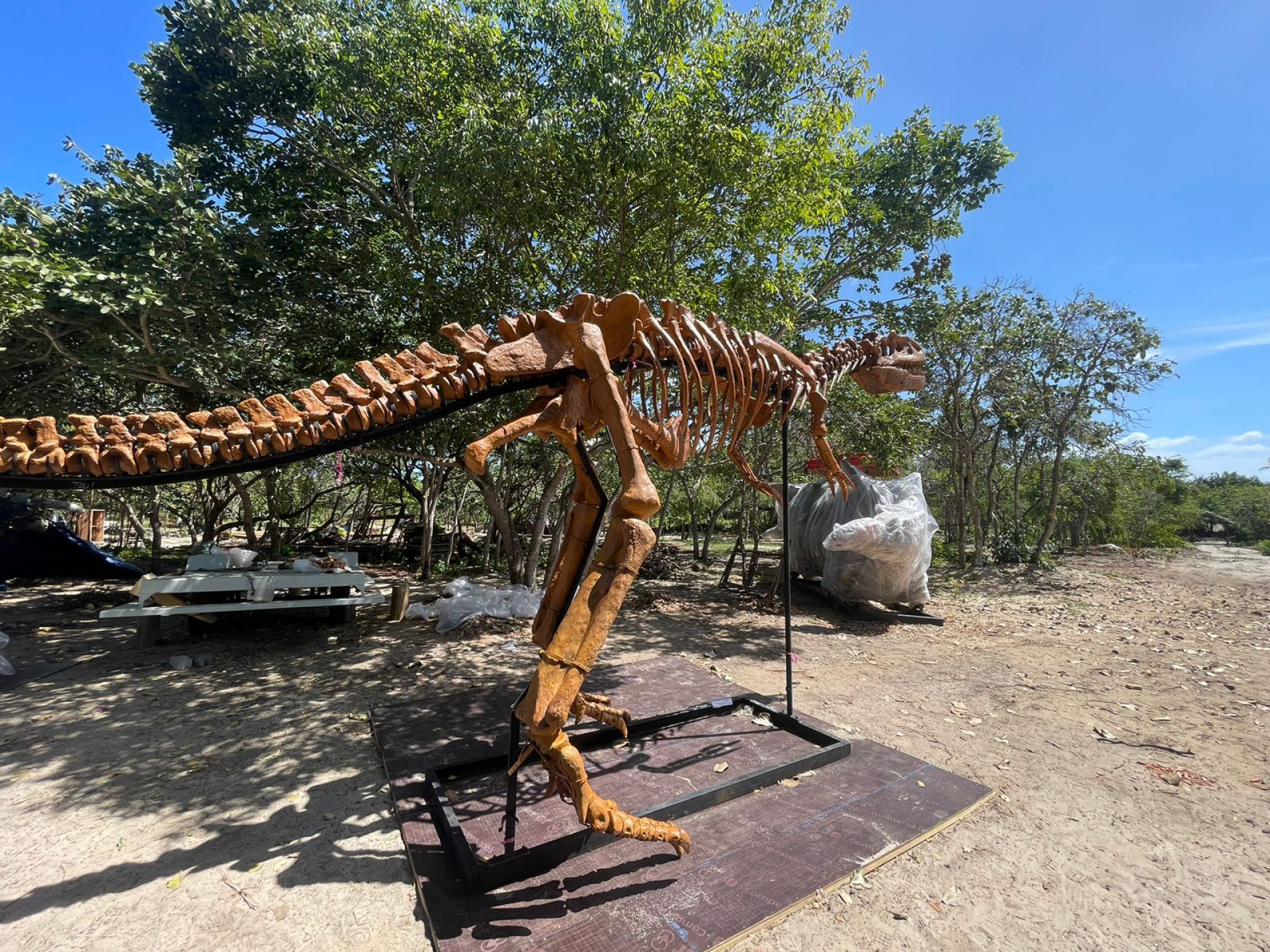 O parque temático tem previsão de inauguração para o primeiro semestre de 2024 e ficará localizado em Caucaia