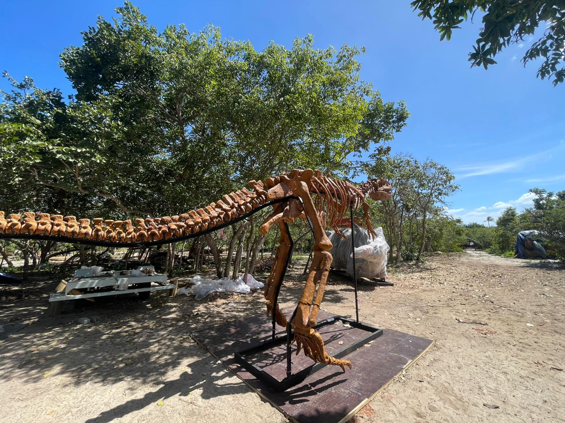 O parque temático tem previsão de inauguração para o primeiro semestre de 2024 e ficará localizado em Caucaia