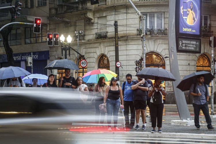 SP tem chuva forte, ventania, queda de árvores e falta de energia