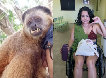 Mulher foi mordida por um macaco prego durante um passeio no município de Pacatuba, na Região Metropolitana de Fortaleza 