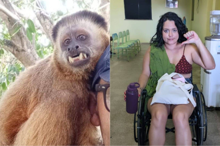 Mulher foi mordida por um macaco prego durante um passeio no município de Pacatuba, na Região Metropolitana de Fortaleza