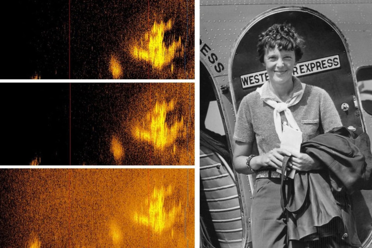 A missão da Deep Sea Vision  teria encontrado os destroços da aeronave de Earhart  em um raio de 160 km entre Nova Guiné e a Ilha Howland