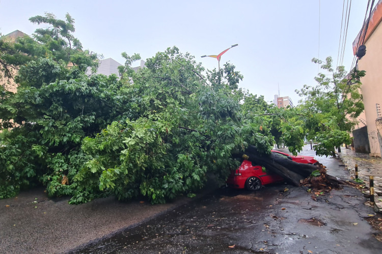 Pelo menos 16 postes foram quebrados em Fortaleza com fortes chuvas e quedas de árvores