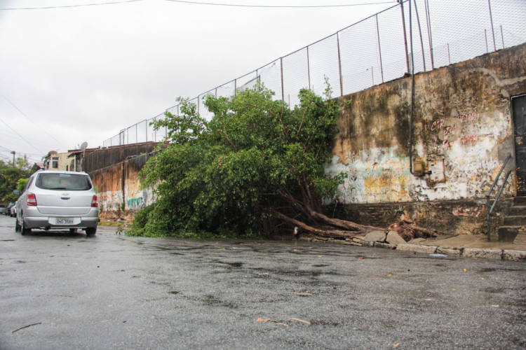 Árvore caída na rua Porfírio Sampaio após ventos intensos