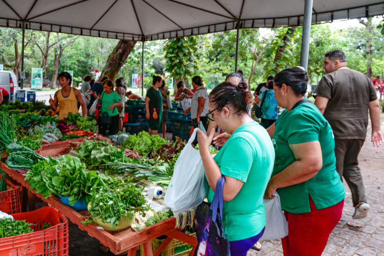 FORTALEZA, CEARÁ, BRASIL 17-02-2024: Parque Adahil Barreto-100ª Edição da Feira Agroecológica. (Foto: Yuri Allen/Especial para O Povo)