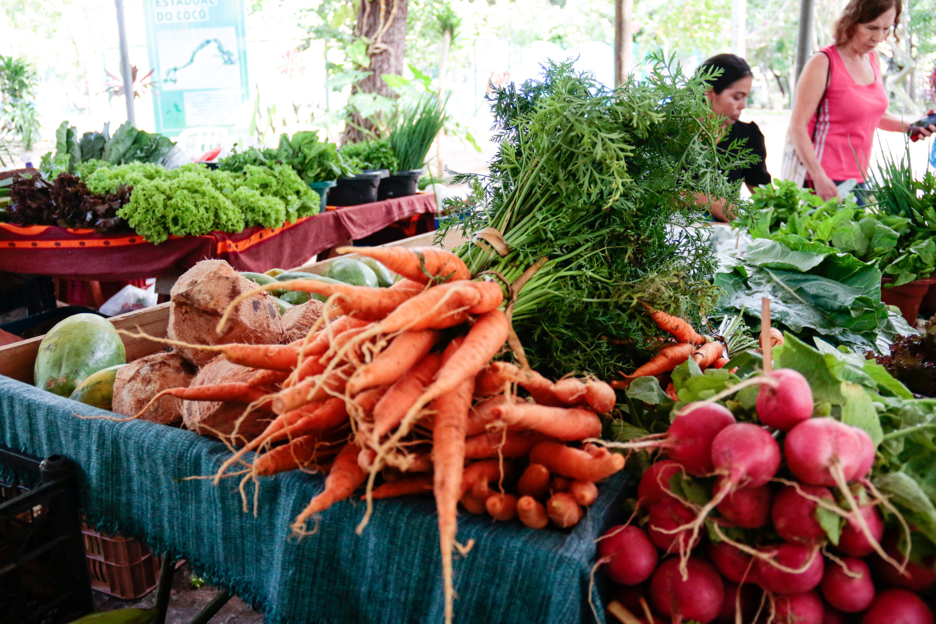 FORTALEZA, CEARÁ, BRASIL 17-02-2024: Parque Adahil Barreto-100ª Edição da Feira Agroecológica. (Foto: Yuri Allen/Especial para O Povo)