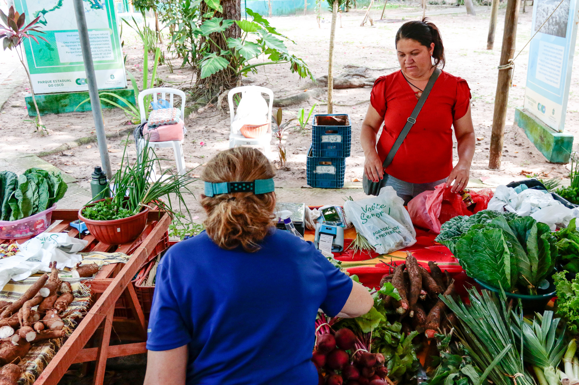 FORTALEZA, CEARÁ, BRASIL 17-02-2024: Parque Adahil Barreto-100ª Edição da Feira Agroecológica. (Foto: Yuri Allen/Especial para O Povo)