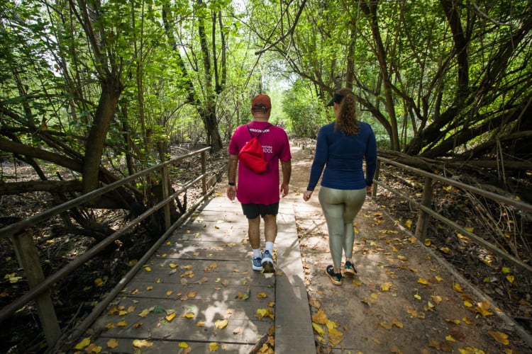 Trilhas do Parque do Coc&oacute; s&atilde;o escolhidas por quem gosta de caminhar ao ar livre em Fortaleza 