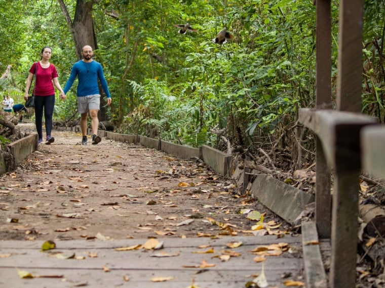 Trilhas do Parque do Coc&oacute; s&atilde;o escolhidas por quem gosta de caminhar ao ar livre em Fortaleza 