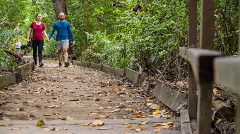 Trilhas do Parque do Coc&oacute; s&atilde;o escolhidas por quem gosta de caminhar ao ar livre em Fortaleza 