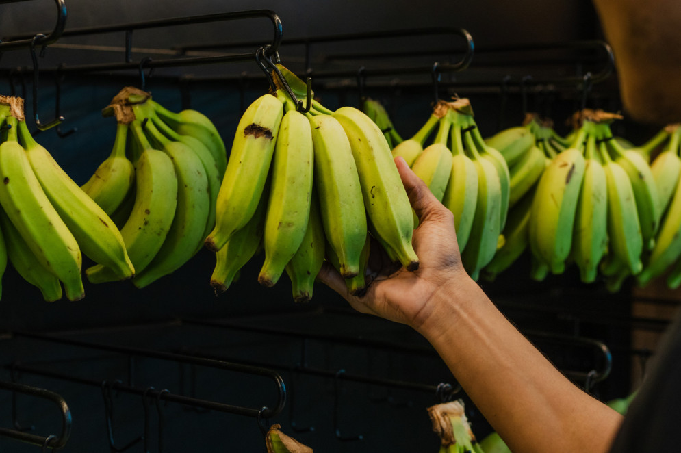 A banana é o item analisado com a menor variação entre os preços.(Foto: FERNANDA BARROS)