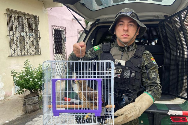 Policial militar com a ave resgatada