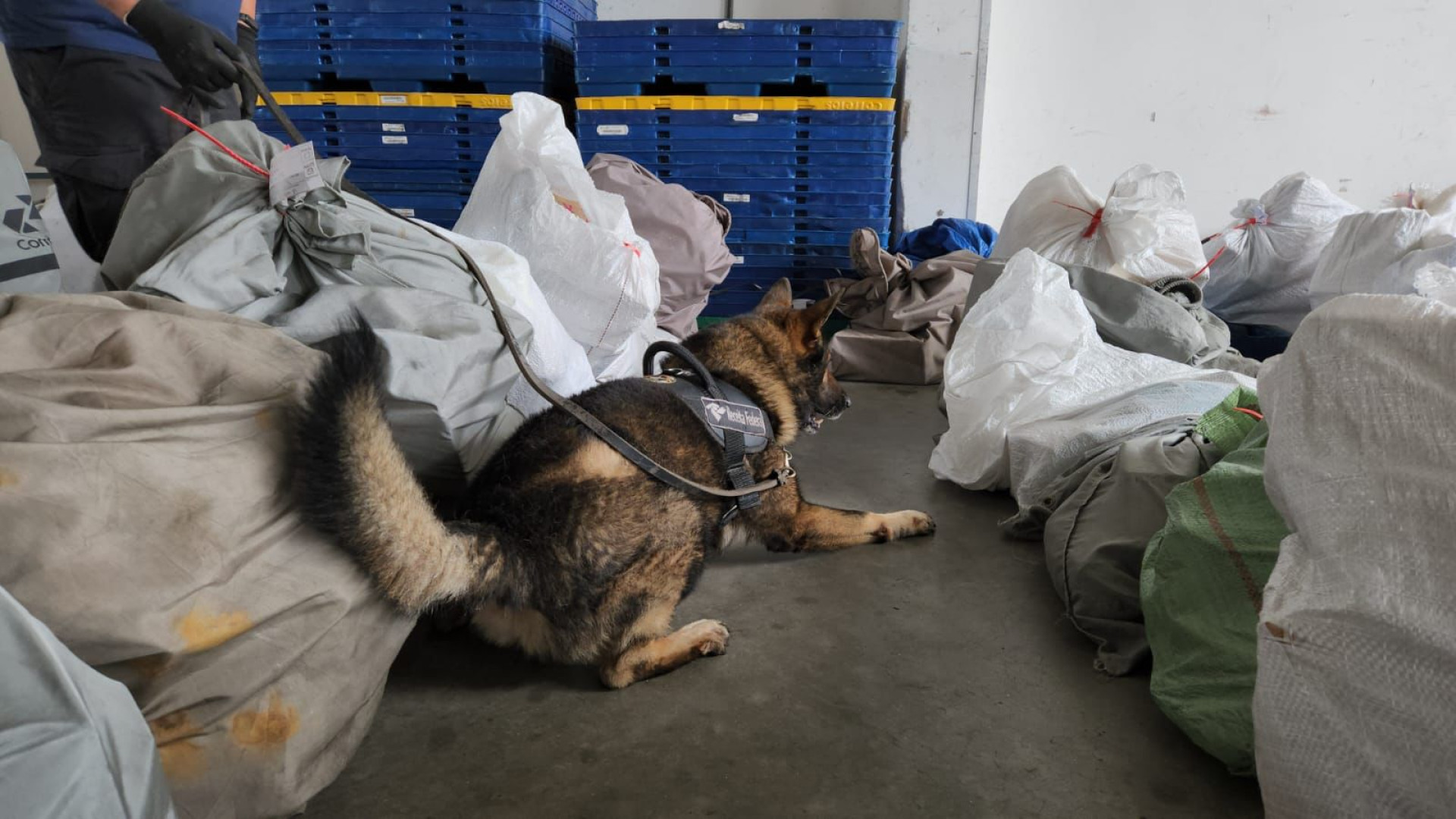 Dinheiro falso e haxixe são apreendidos no Aeroporto Internacional de Fortaleza