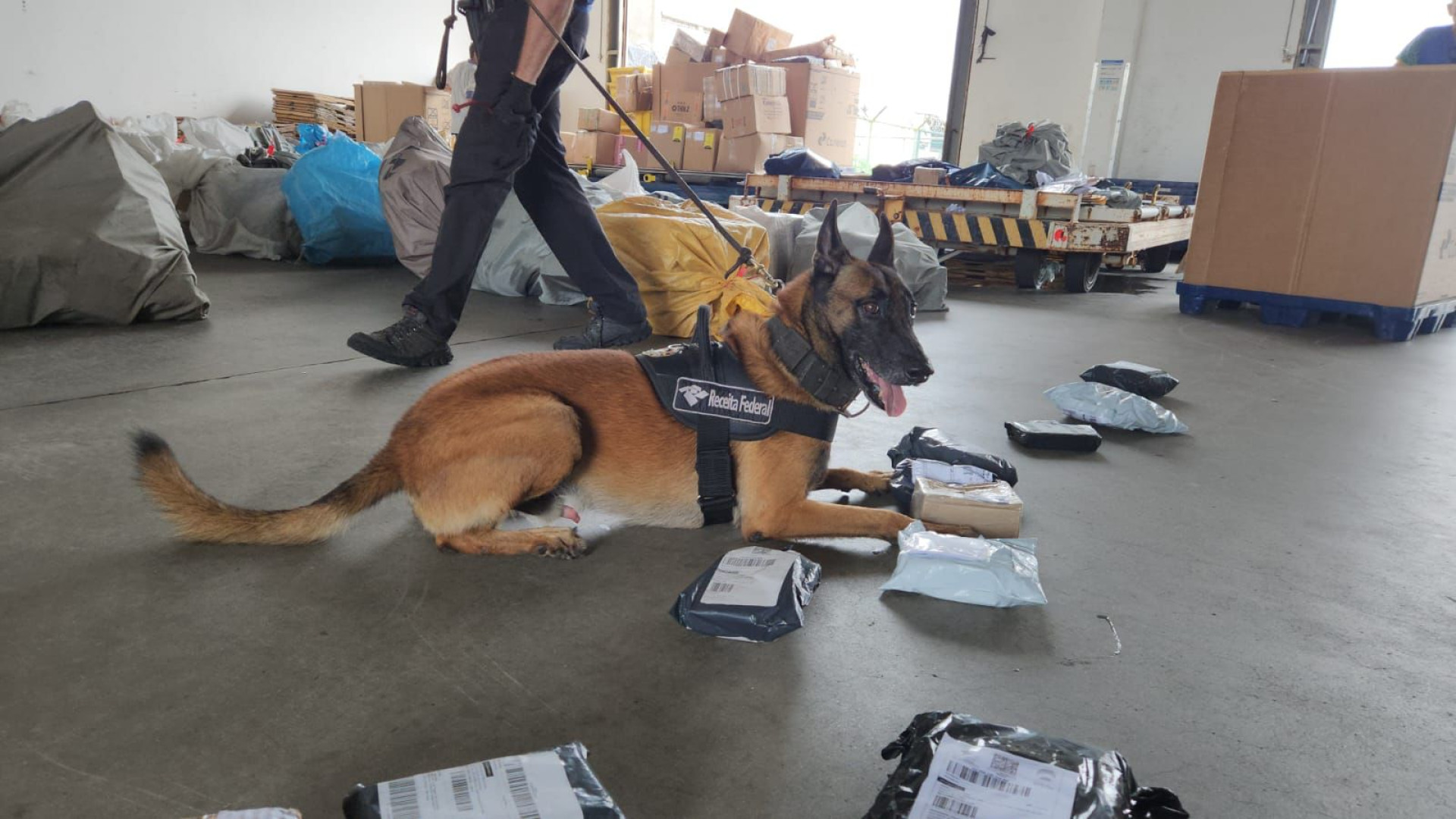 Dinheiro falso e haxixe são apreendidos no Aeroporto Internacional de Fortaleza