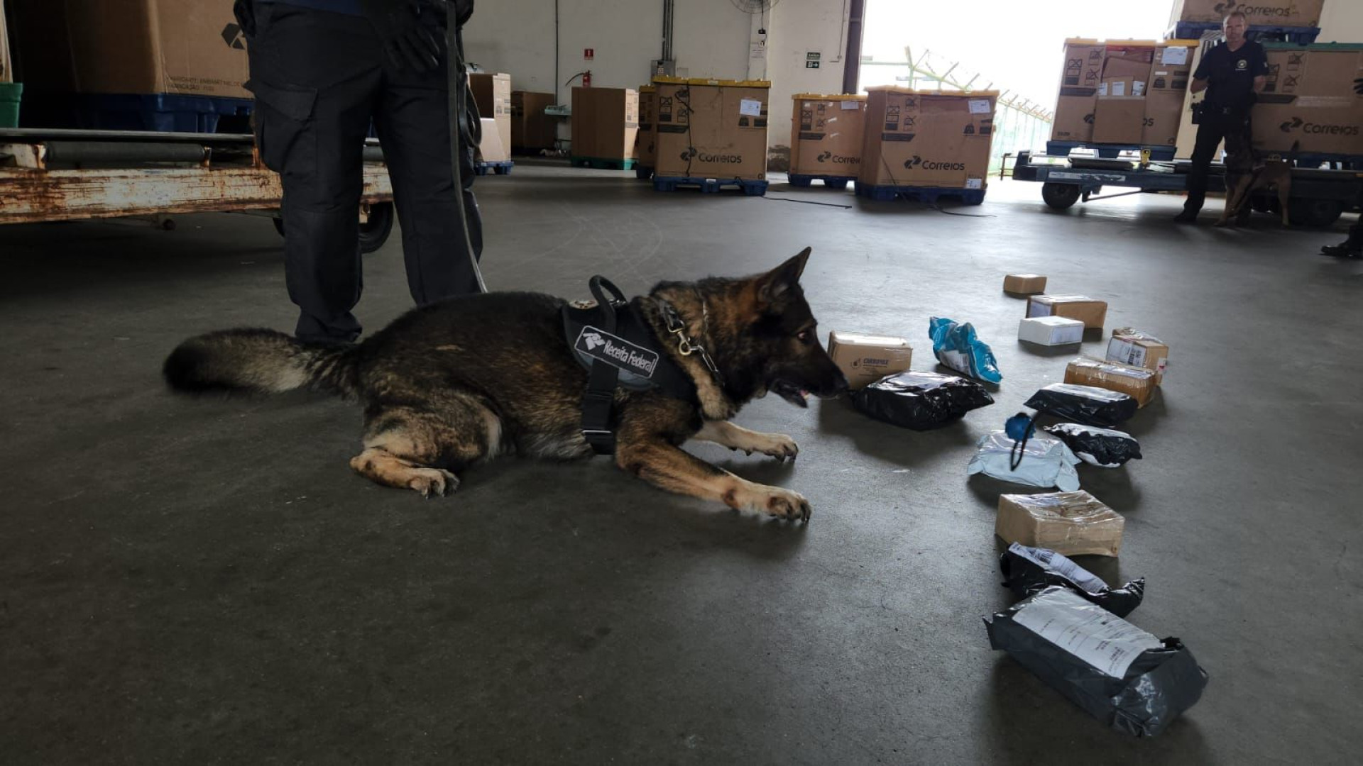 Dinheiro falso e haxixe são apreendidos no Aeroporto Internacional de Fortaleza