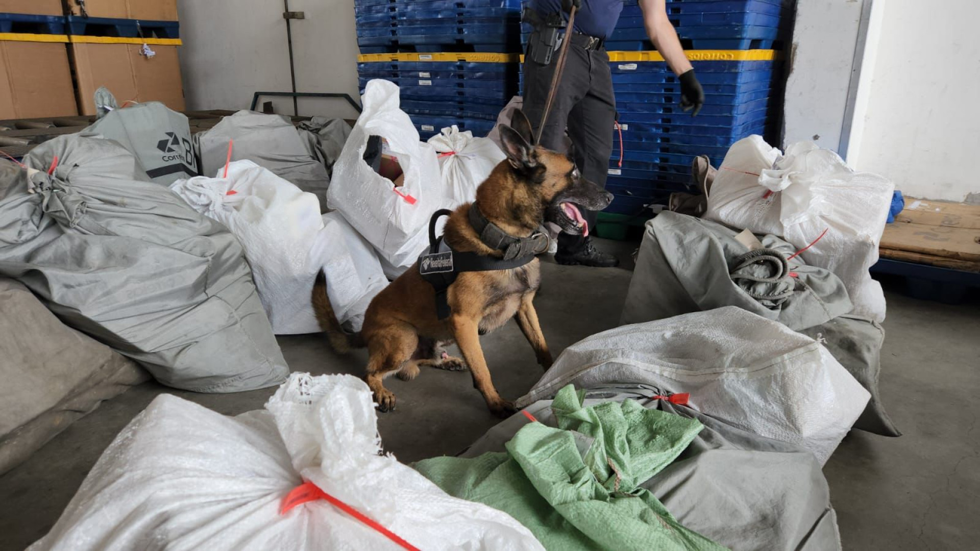 Dinheiro falso e haxixe são apreendidos no Aeroporto Internacional de Fortaleza