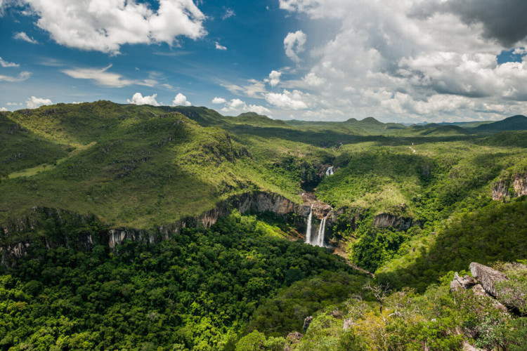 Chapada dos Veadeiros encanta os turistas por sua biodiversidade (Imagem: vitormarigo | Shutterstock)