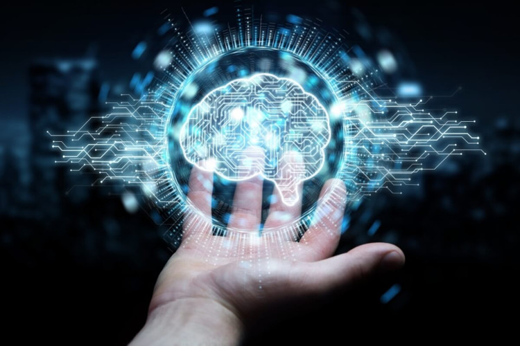 A inteligência pode ser analisada de diversas maneiras (Imagem: sdecoret | Shutterstock)