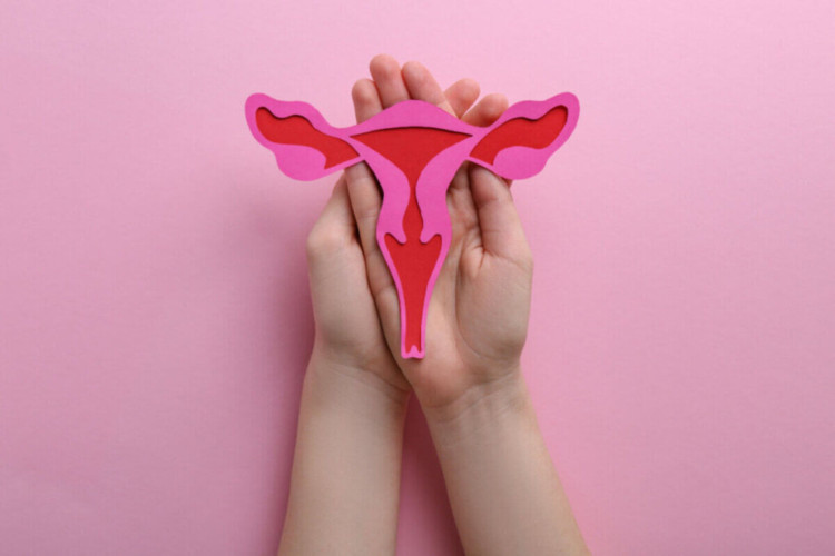 Câncer de colo de útero é o terceiro tumor maligno mais comum na população feminina no Brasil (Imagem: New Africa | Shutterstock)