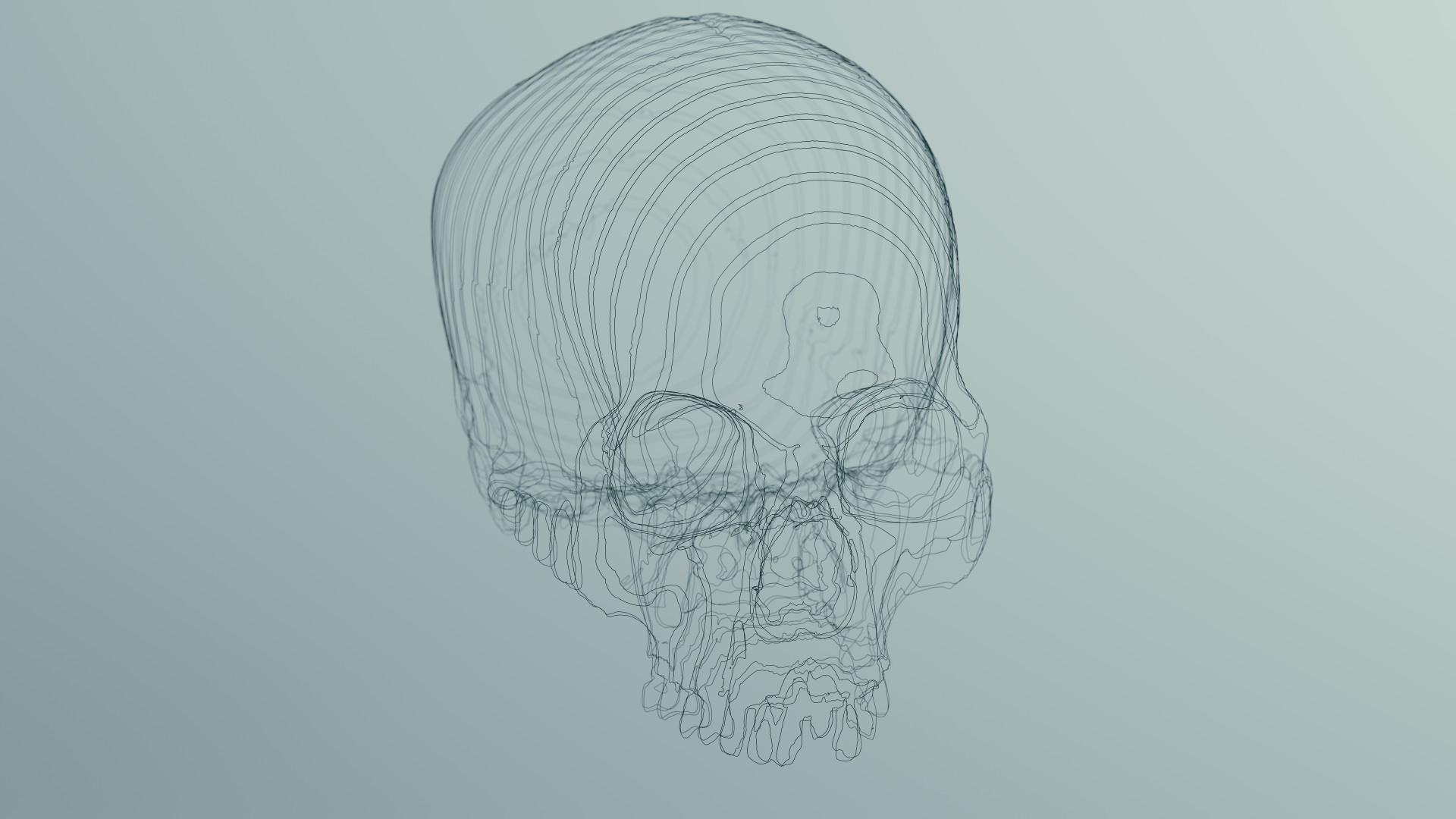 crânio ciência e saúde (Foto: adobe stock)