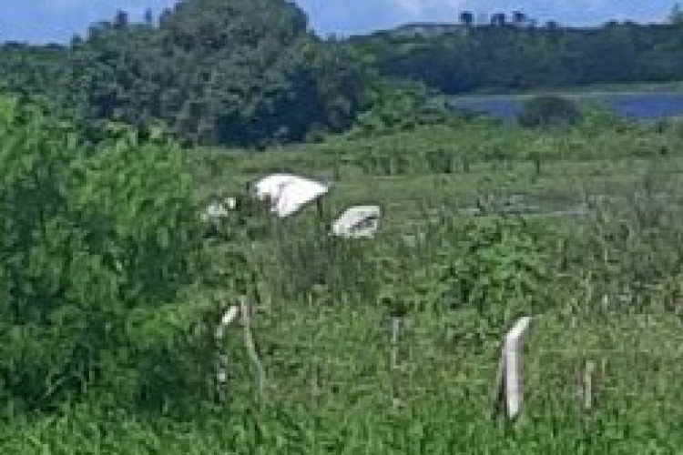 Avião ficou a cerca de 50 metros da pista de decolagem