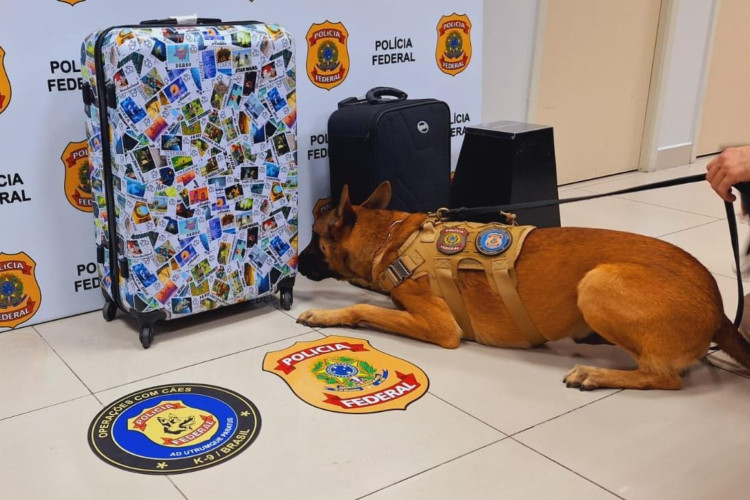 Duas passageiras são apreendidas com drogas em mesmo voo, no Aeroporto de Fortaleza
