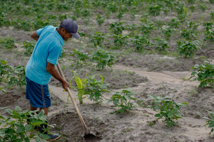 Raimundo Pereira de Lima (Raymudinho).  Saint Joseph's Day A talk about the rain on Saint Joseph's Day. What are the scientific reasons for this rain and the reasons and farmers' expectations for rainfall?  (Photo: Aurelio Alves/O Bofo)