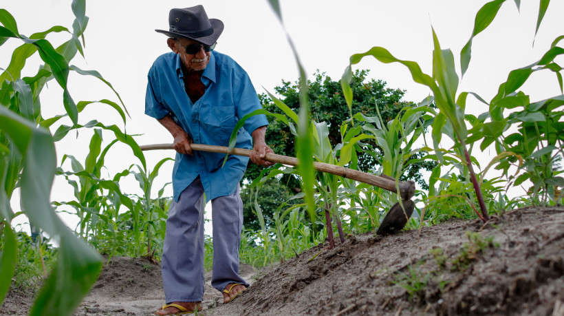 Mais de 80% do cr&eacute;dito dispon&iacute;vel &eacute; voltado para pequenos produtores. 