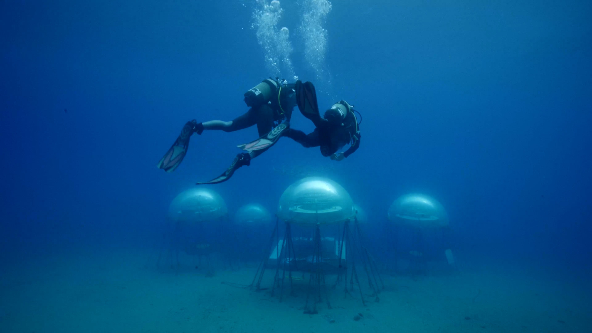 Filme Protetores da Terra (Foto: One Planet One Future/Divulgação)