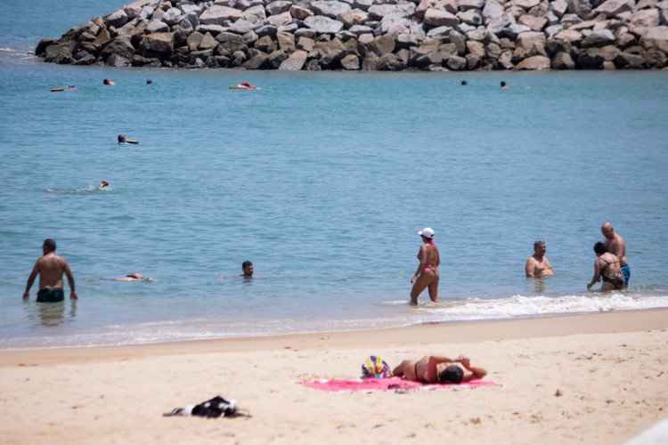 ￼BANHISTAS relatam aparecimento de águas-vivas em praias da Capital