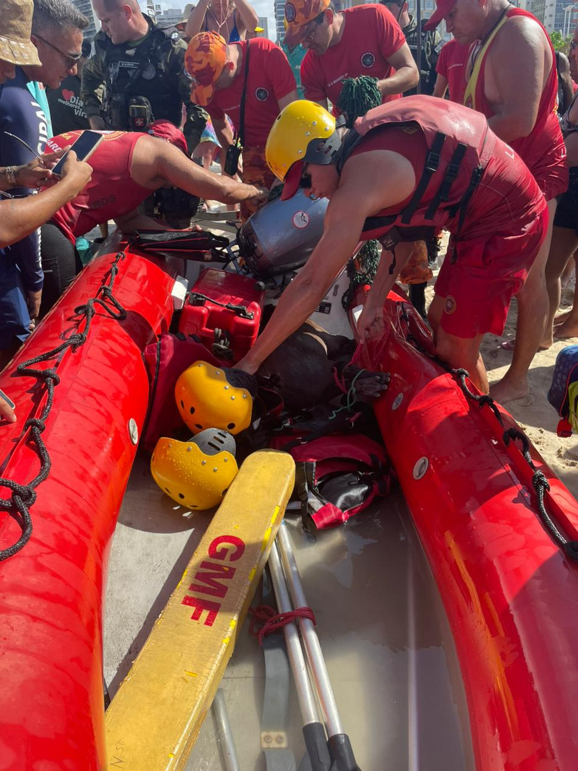 Capivara avistada na Praia de Iracema foi resgatada no início da tarde desta sexta-feira, 22