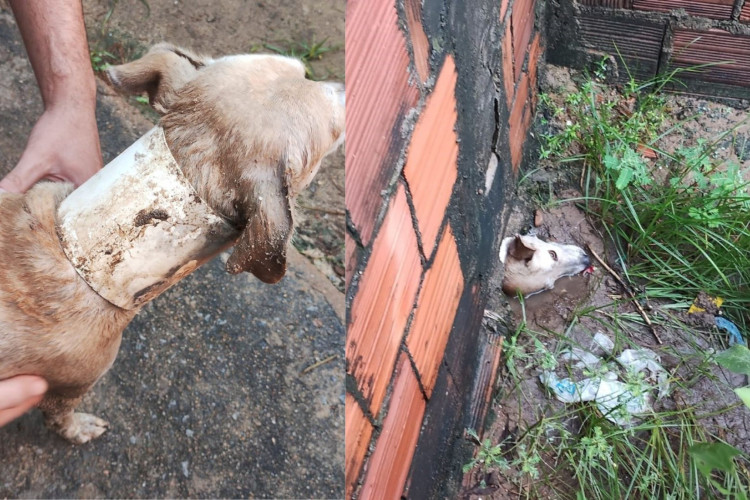 RESGATE foi feito pelo Corpo de Bombeiros do Ceará