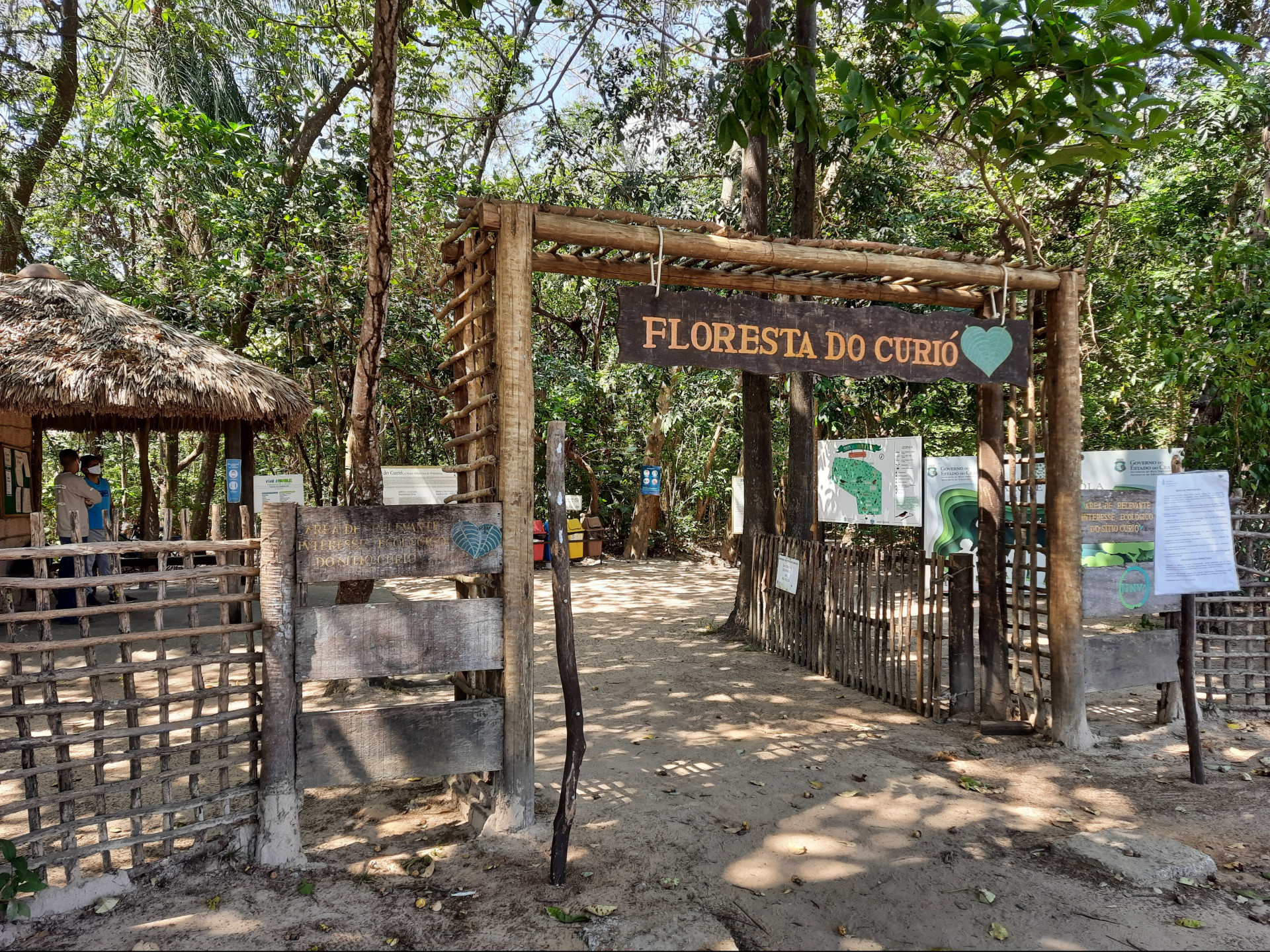 ￼NATURÁGUA preserva a Floresta do Curió, em Fortaleza (Foto: Divulgação Naturágua)