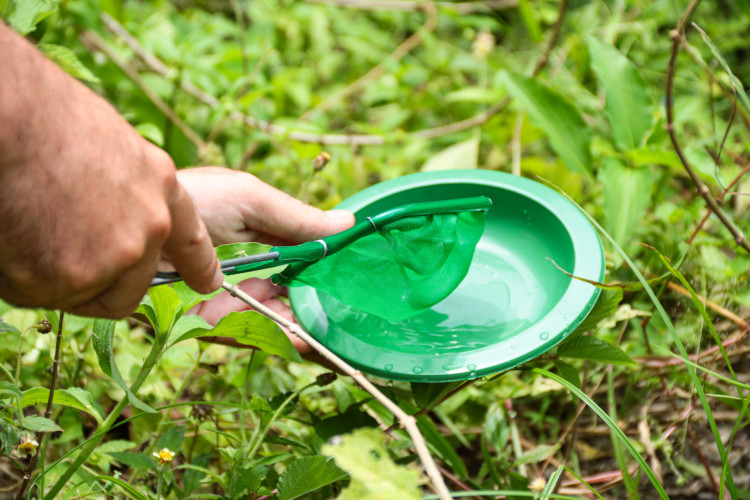 Fortaleza notificou 1.962 casos, sendo 113 confirmados e 1.041 descartados