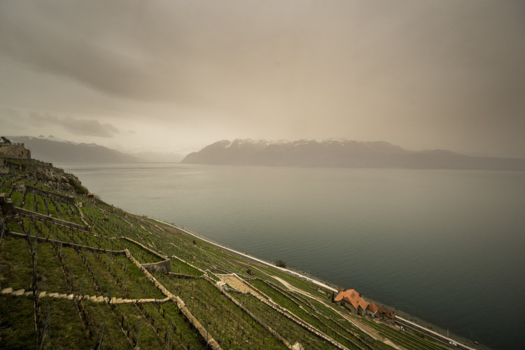 Espessa poeira de areia soprada do Saara, dando ao c&eacute;u uma apar&ecirc;ncia amarelada acima dos terra&ccedil;os dos vinhedos de Lavaux, no oeste da Su&iacute;&ccedil;a