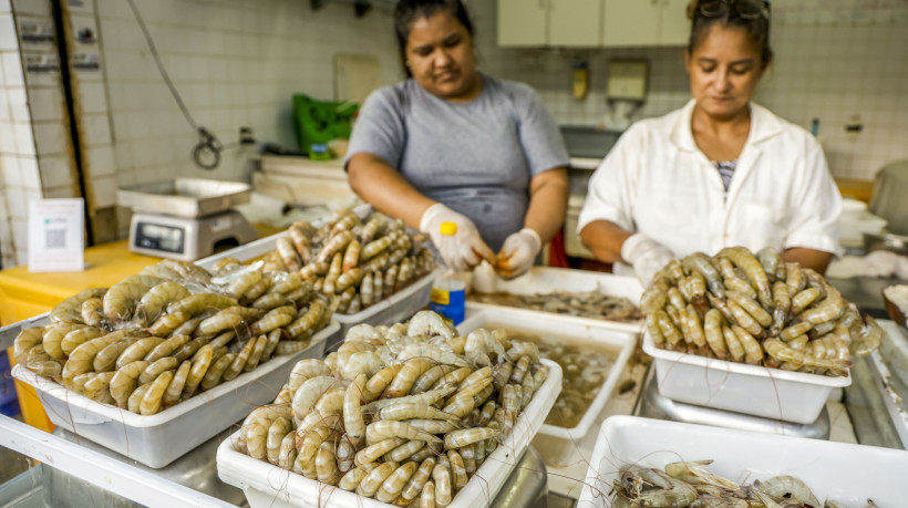Em rela&ccedil;&atilde;o a 2023, o crescimento foi de 15,2%