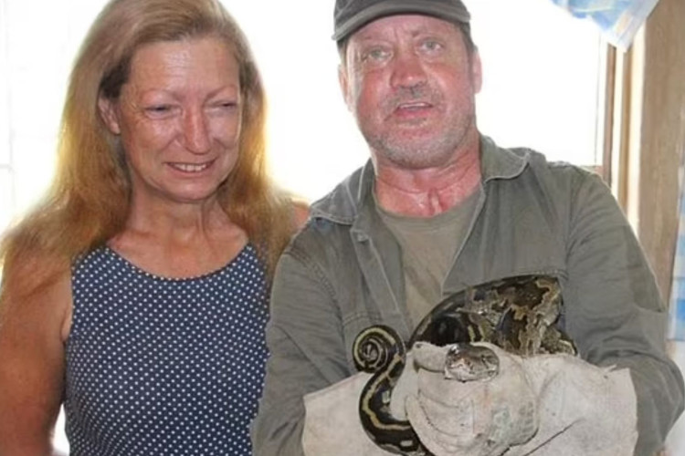 Idosa luta contra cobra píton de 4 metros