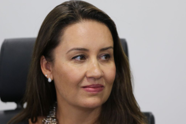 Governadoras e prefeitas receberão curso sobre financiamentos externos