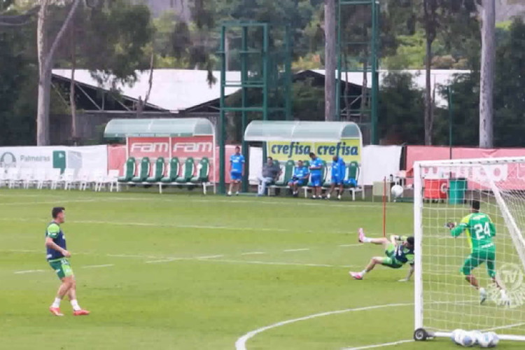 Dudu treina em campo na reapresentação do Palmeiras