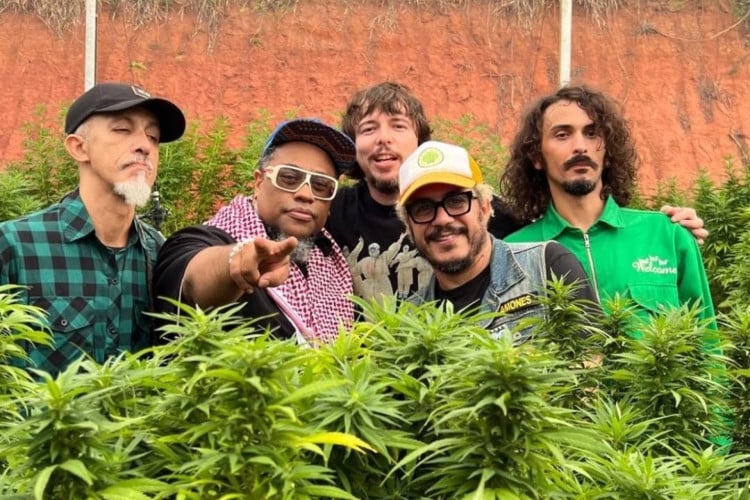 Banda Planet Hemp gravou novo clipe na Fazenda Sofia Langenbach, primeiro espaço legalizado para plantação de maconha medicinal no Brasil