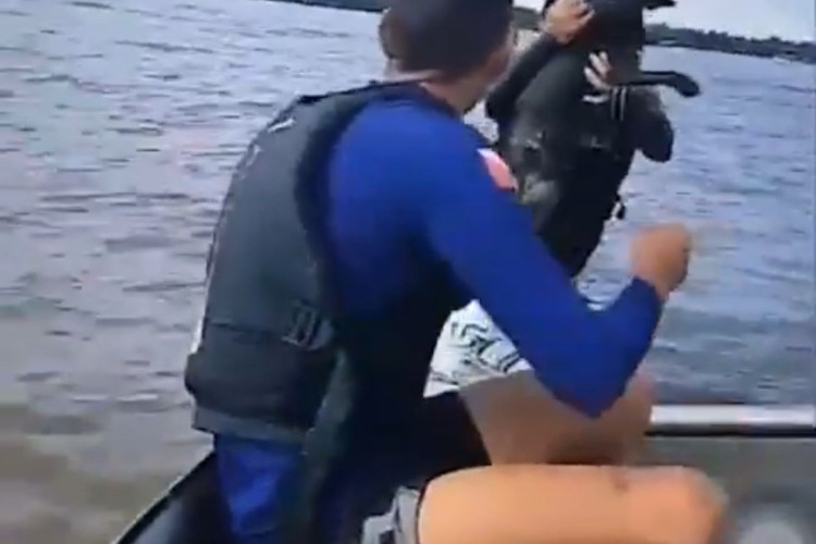 Canoístas resgatam cachorro em rio do Pará