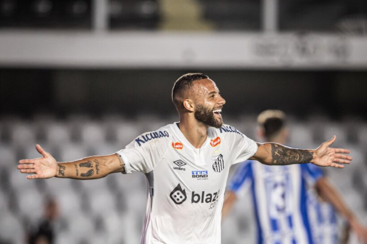 A Santos vai enfrentar o Avaí: veja onde assistir a partida ao vivo pelo Campeonato Brasileiro Série B