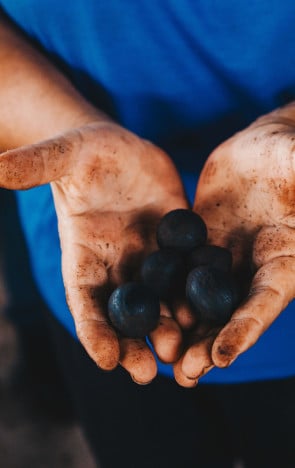 Benecifiamento de sementes para a Natura na sede da Cooperativa de Fruticultores de Abaetetuba (Cofruta)