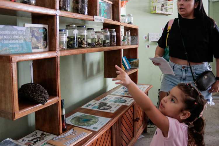Exposição tinha espécies empalhadas e conservadas, além de posters sobre a diversidade da Caatinga