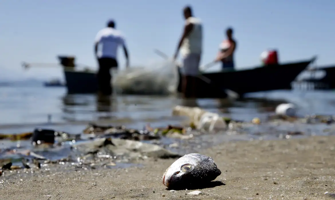 Rede ambiental traça caminhos para redução de lixo no mar no RJ