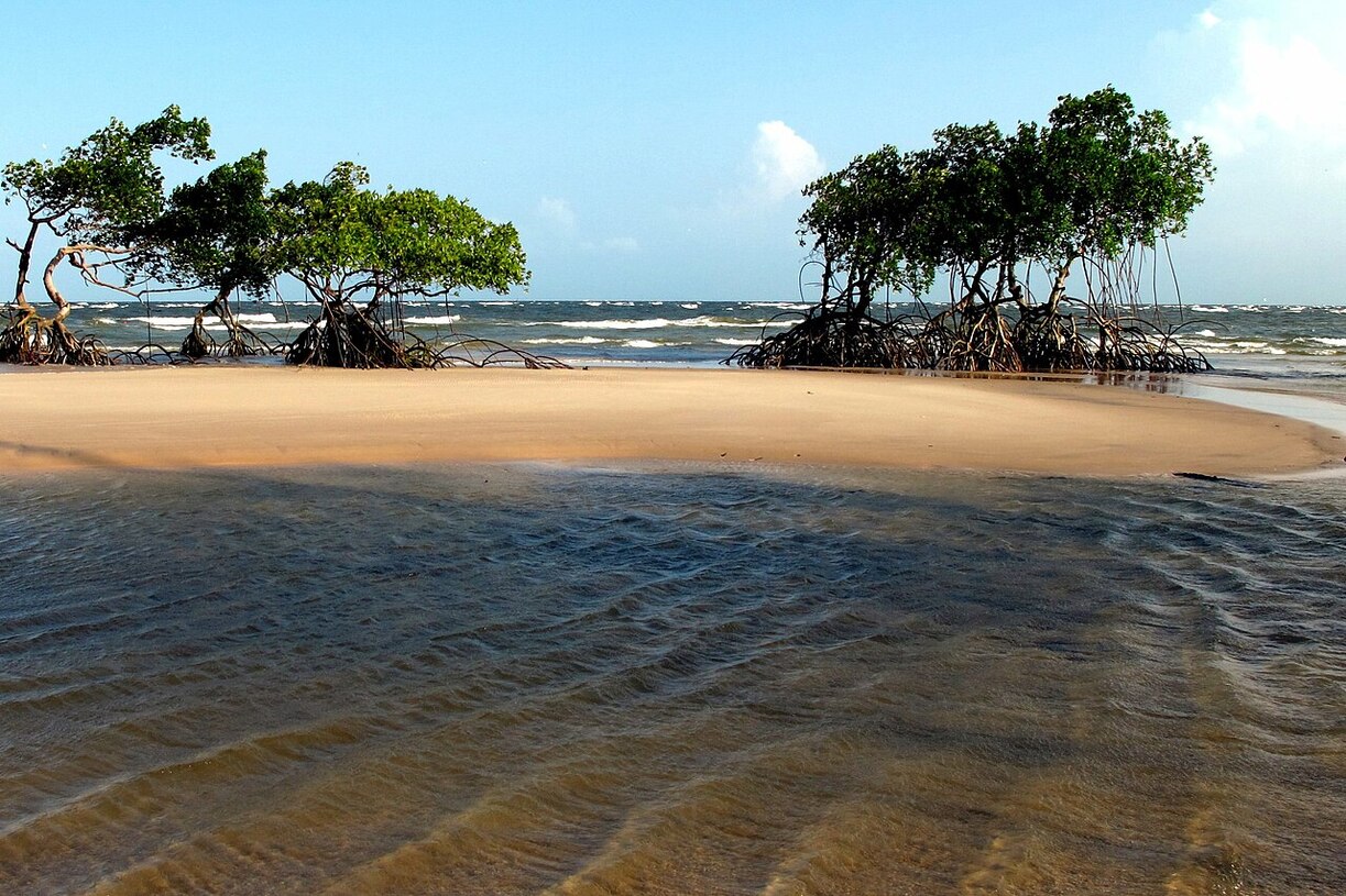 Embora a Ilha de Marajó seja maior do que a Ilha do Bananal em termos de área, ela não é exclusivamente fluvial, mas sim fluviomarítima, por isso não recebe o título de maior do mundo.