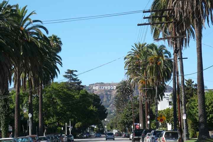 Trabalhadores mexicanos fixaram cada letra em postes telefônicos levados ao local por mulas, completando em 60 dias tarefas que custaram US$ 21 mil (o equivalente a US$ 250 mil hoje, ou R$ 1,2 milhão), escreve Braudy, professor da Universidade do Sul da