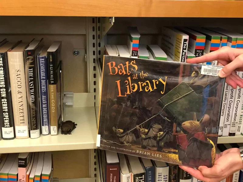Curiosamente, por uma incrível coincidência, o animal estava bem ao lado do livro que se chama Bats at the Library (Morcegos na Biblioteca) . O registro foi feito pelo portal The Dodo.  